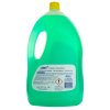 3333FI FIORILLO PAVIMENTI PINO SELVATICO 4l zadní